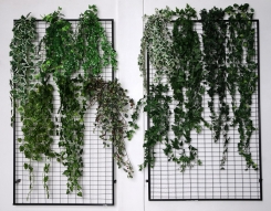 023 Veštaćke lozice